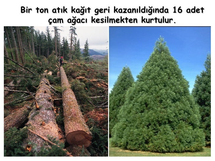 Küresel Isınmayı Önlemek için Ne Yapmalıyız Küresel Isınmayı Önlemek için Ne Yapmalıyız